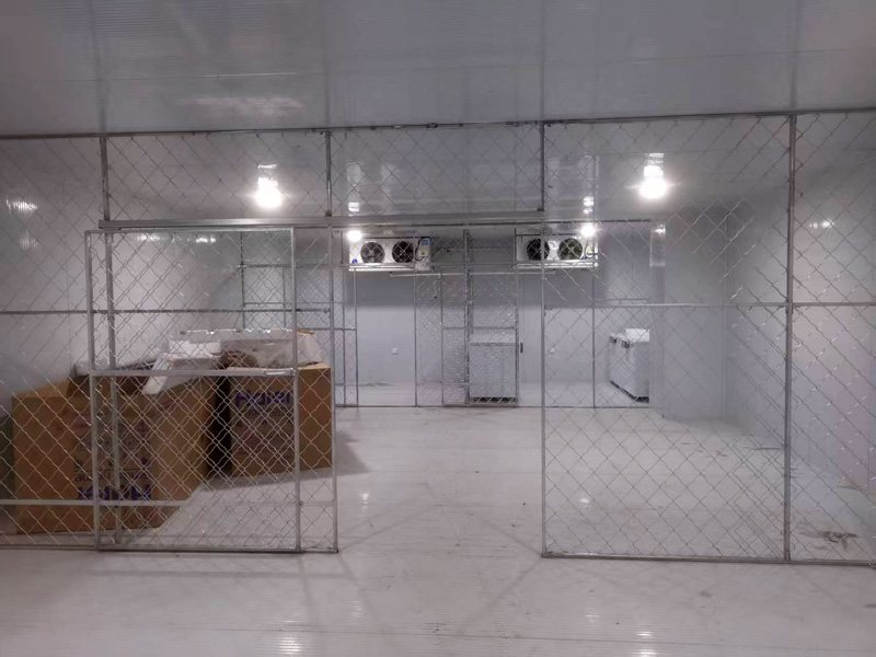 案例展示