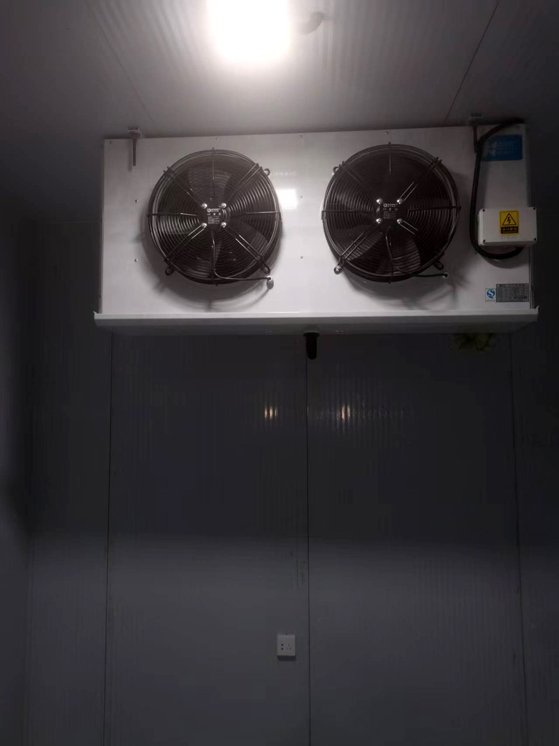 案例展示